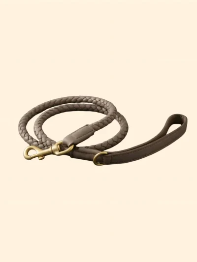 French-style elegant and minimalist leather woven vintage adjustable pet collar