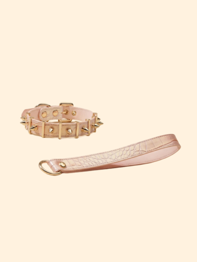 Crocodile Pattern High-End Pointed Stud Anti-Bite Pet Collar Set